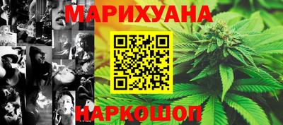 гашик Ливны