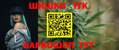 гашик Ливны