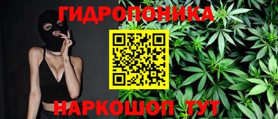 гашик Ливны