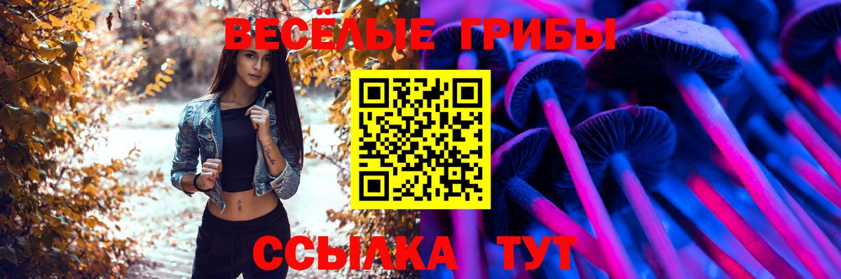 Псилоцибиновые грибы Psilocybe  Вход с VPN  Галлюциногенные грибы Cubensis  Губкин 